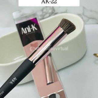 Brocha Corrector Anik