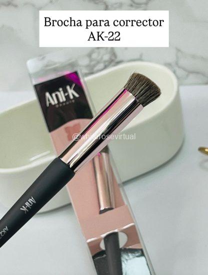 Brocha Corrector Anik