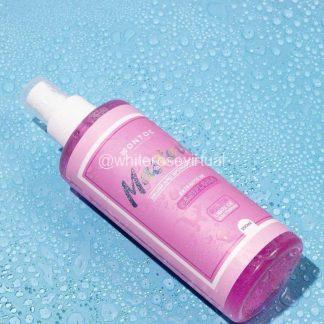 Limpia Brochas En Seco Montoc