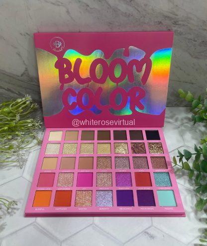 Paleta Bloom Color Bloomshell