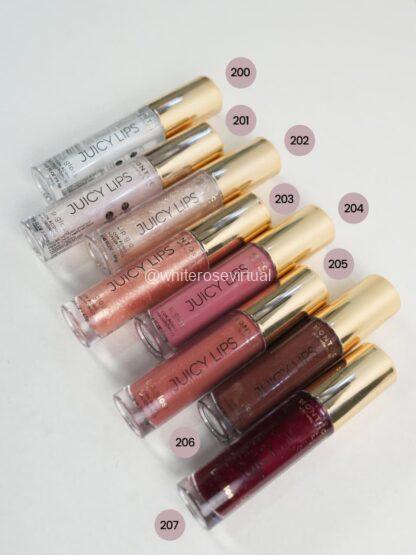 Gloss Juicy Lips Montoc