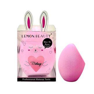 Esponja Genérica Grande